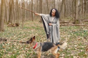 Spectrum Canine training