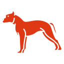 Spectrum Canine training