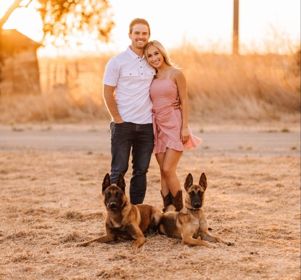 protection dog training